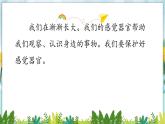 （2024）新教科版科學(xué)一年級(jí)上冊(cè)2-8單元小結(jié)科學(xué)閱讀PPT課件