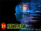 （2024）新教科版科學(xué)一年級(jí)上冊(cè)2-1我們的身體PPT課件