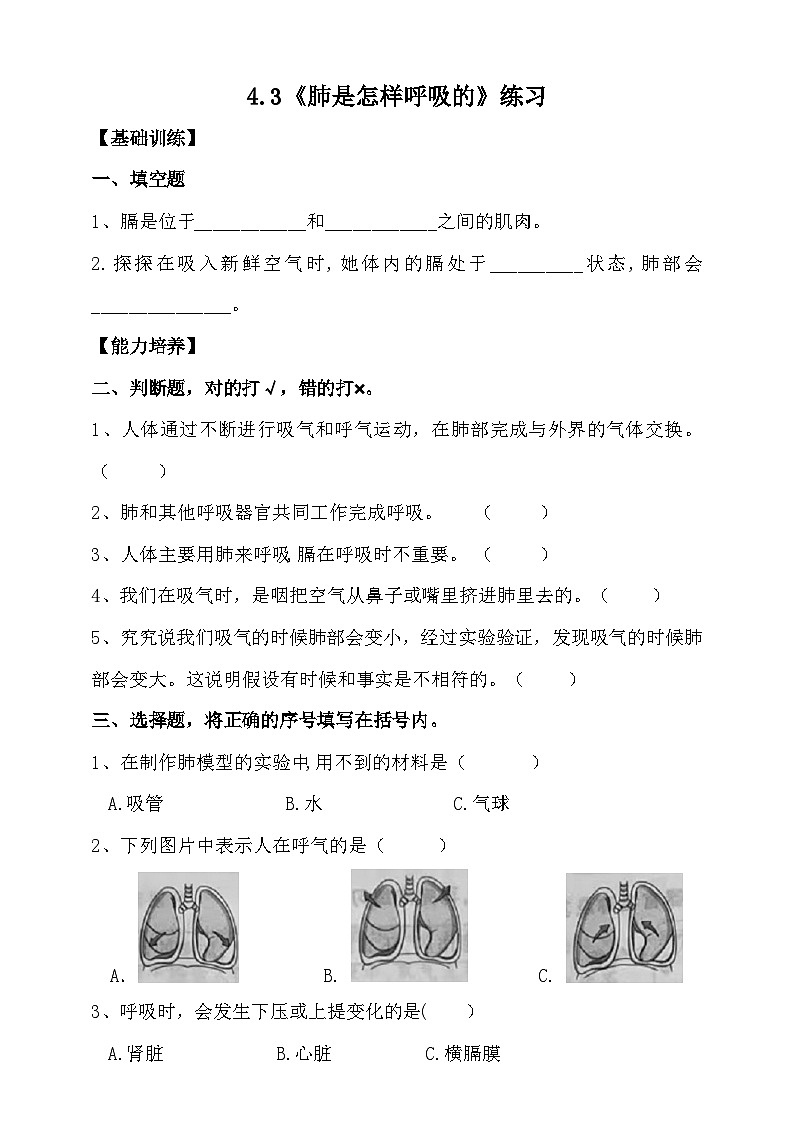 大象版4.3《肺是怎样呼吸的》练习（含答案）01