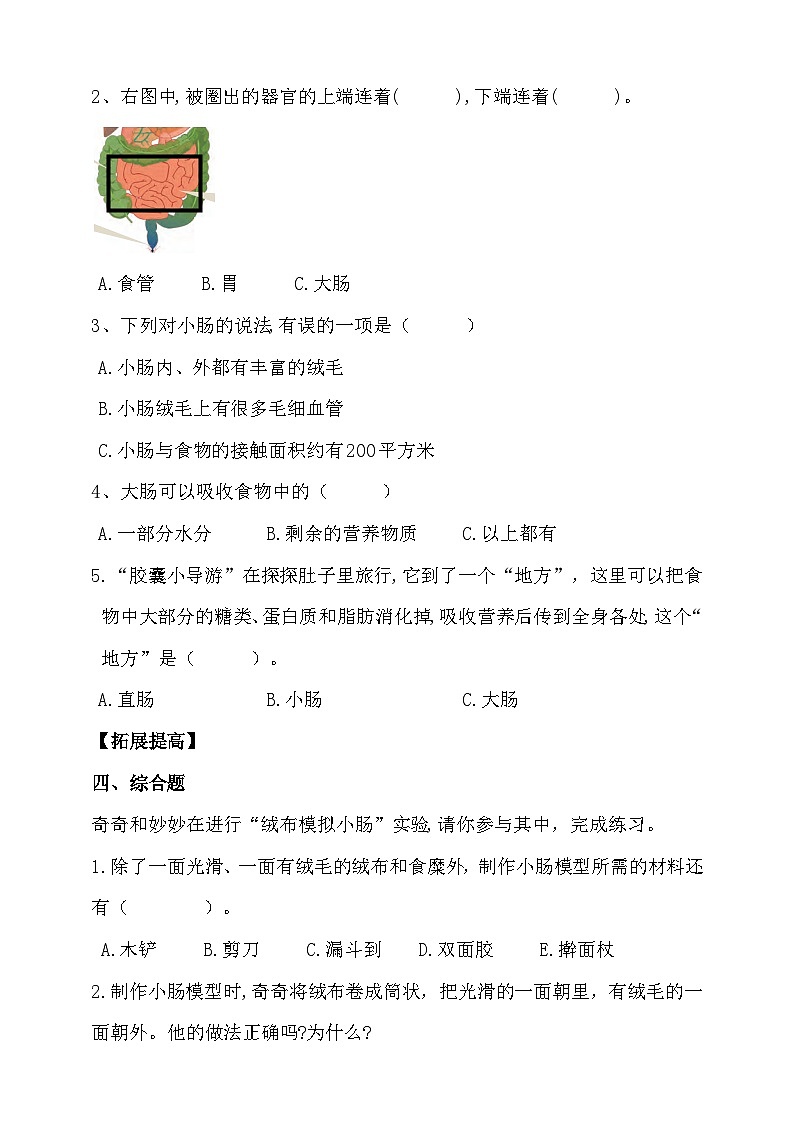 大象版5.4《蜿蜒的旅行》练习（含答案）02