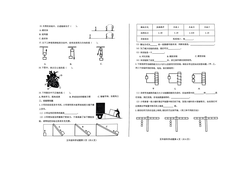 山东省济南市莱芜区2023-2024学年五年级下学期期末科学试题02