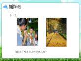 【核心素养】冀教版小学科学二年级上册     7.秋天到了    课件ppt+ 教案
