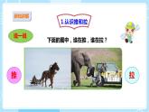 【苏教版】二上科学  7.推和拉 （课件+教案）