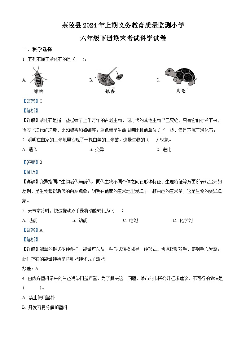 湖南省株洲市茶陵县2023-2024学年湘科版六年级下册期末考试科学试卷（原卷版+解析版）01