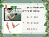 第4单元  《健康生活》知识点复习（课件）-2022-2023学年五年级科学上册同步备课（教科版）