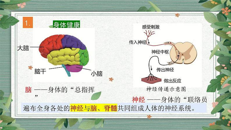 第4单元  《健康生活》知识点复习（课件）-2022-2023学年五年级科学上册同步备课（教科版）06