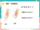 教科版五上《健康生活》第2课《身体的运动》课件