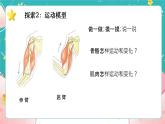 教科版五上《健康生活》第2课《身体的运动》课件