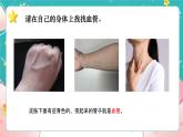 教科版五上《健康生活》第3課《心臟和血液》課件