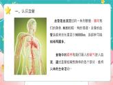 教科版五上《健康生活》第3課《心臟和血液》課件