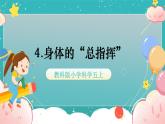 教科版五上《健康生活》第4課《身體的“總指揮”》課件