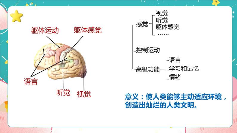 教科版五上《健康生活》第4课《身体的“总指挥”》课件06