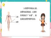 教科版五上《健康生活》第7课《制订健康生活计划》课件