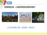 教科版科學(xué)五年級上冊 第3.1課 時(shí)間在流逝（教學(xué)課件+同步教案）