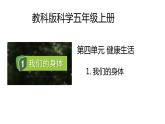 教科版科学五年级上册 第4.1课 我们的身体（教学课件+同步教案）