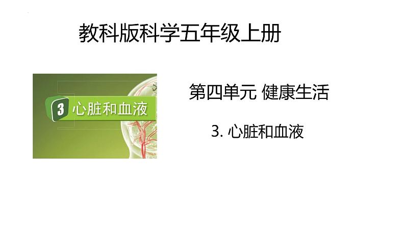 教科版科学五年级上册 第4.3课 心脏和血液（教学课件+同步教案）01