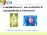 教科版科學五年級上冊 第4.3課 心臟和血液（教學課件+同步教案）