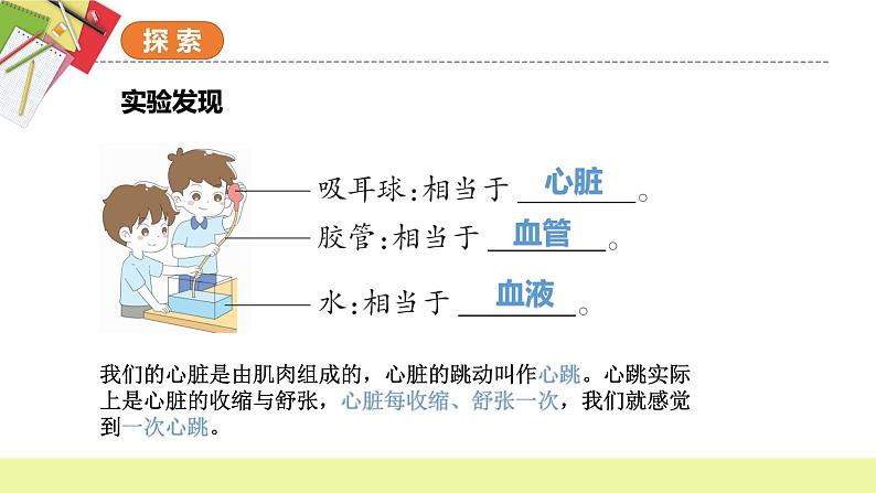 教科版科学五年级上册 第4.3课 心脏和血液（教学课件+同步教案）07