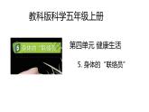 教科版科学五年级上册 第4.5课 身体的“联络员”（教学课件+同步教案）