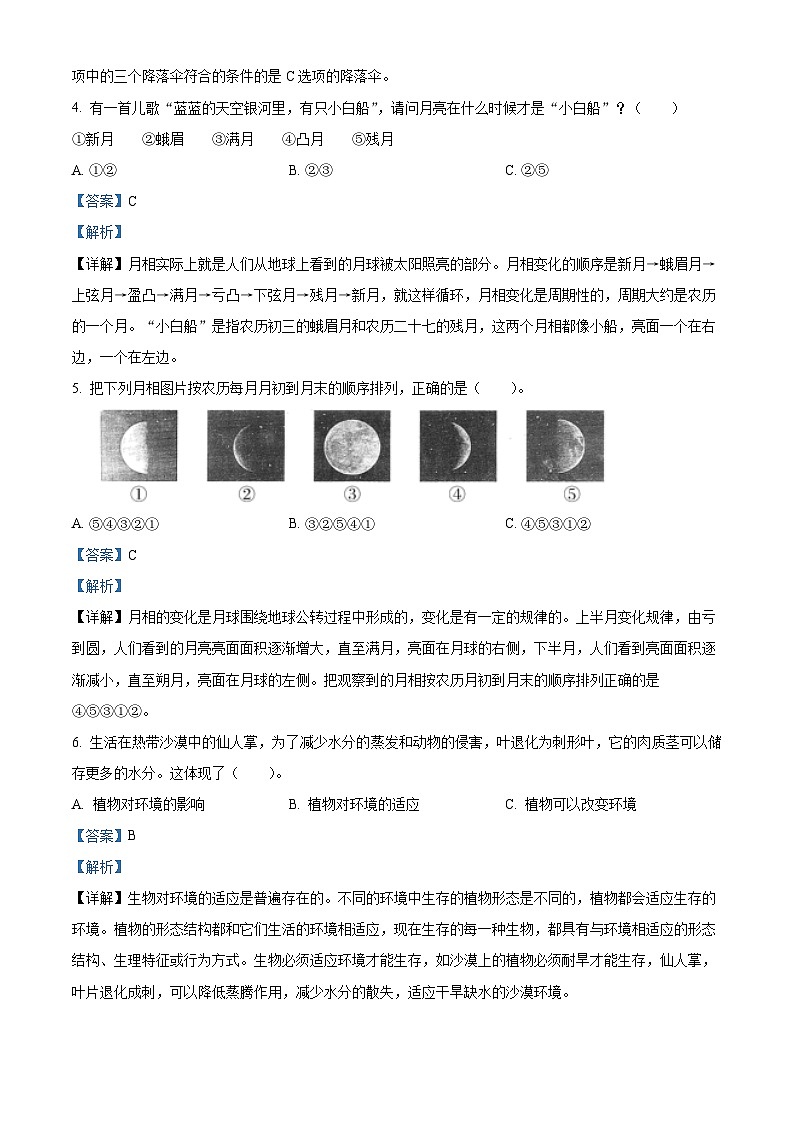 河南省南阳市淅川县2023-2024学年大象版四年级下册期末考试科学试卷（原卷版+解析版）02