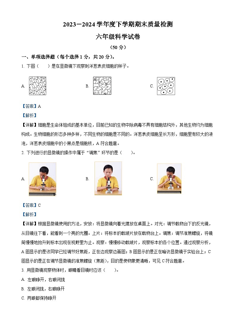 内蒙古呼伦贝尔市阿荣旗2023-2024学年教科版六年级下册期末考试科学试卷（原卷版+解析版）01