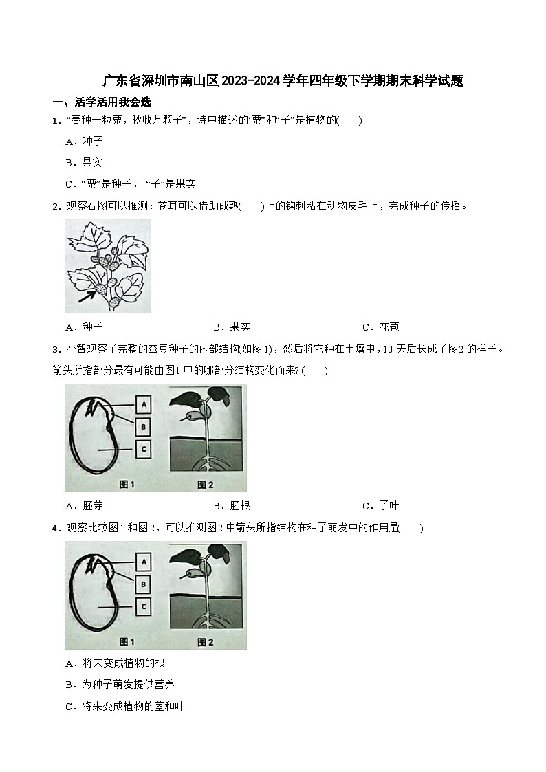广东省深圳市南山区2023-2024学年四年级下学期期末科学试题01
