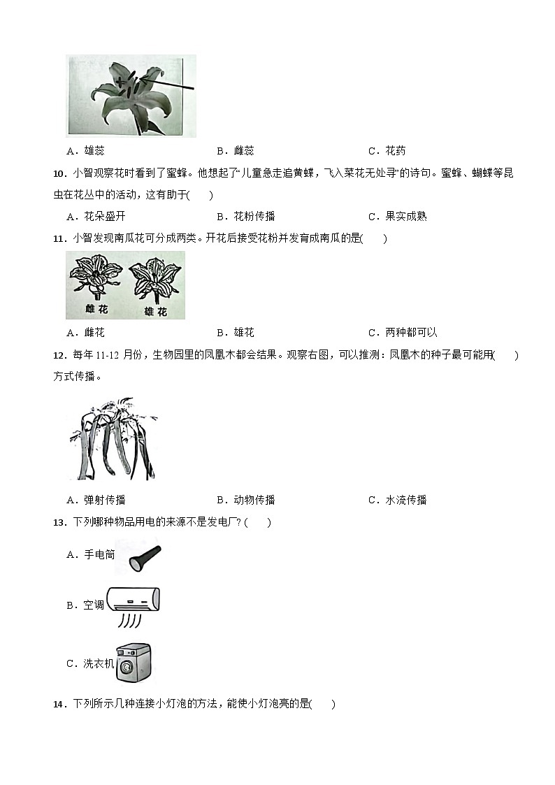 广东省深圳市南山区2023-2024学年四年级下学期期末科学试题03