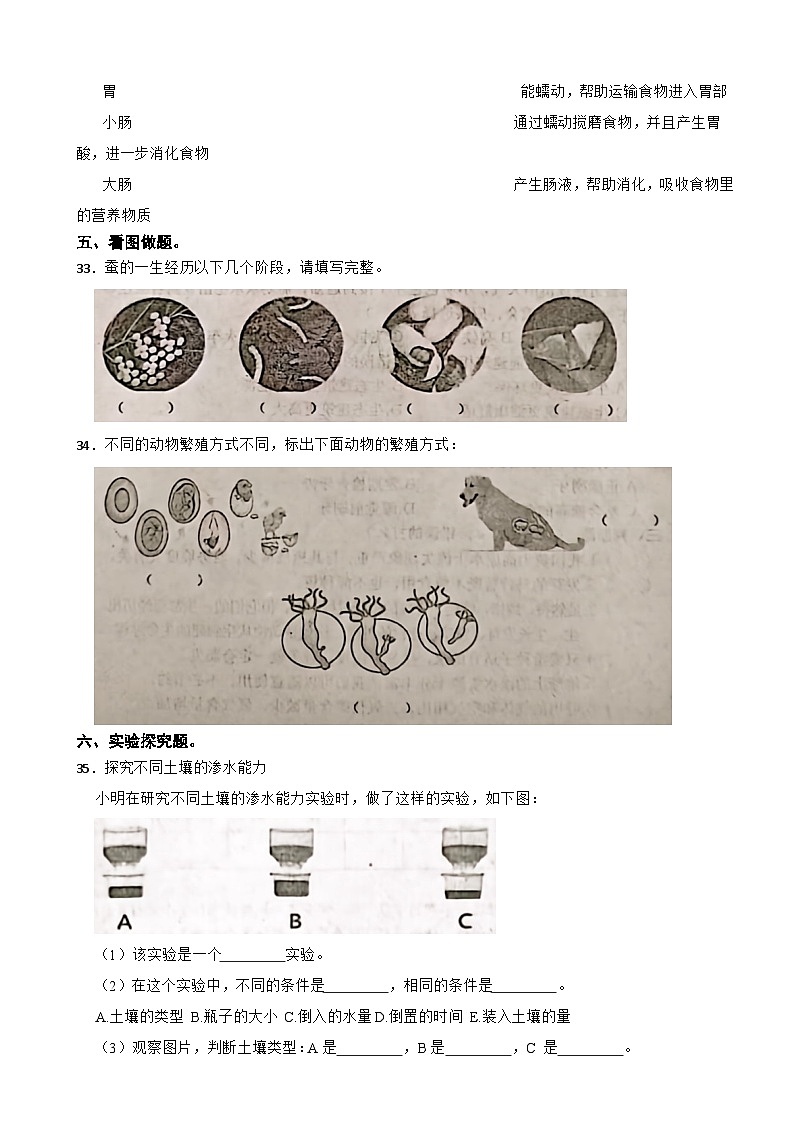 河北省承德市隆化县2023-2024学年四年级下学期期末考试科学试题03