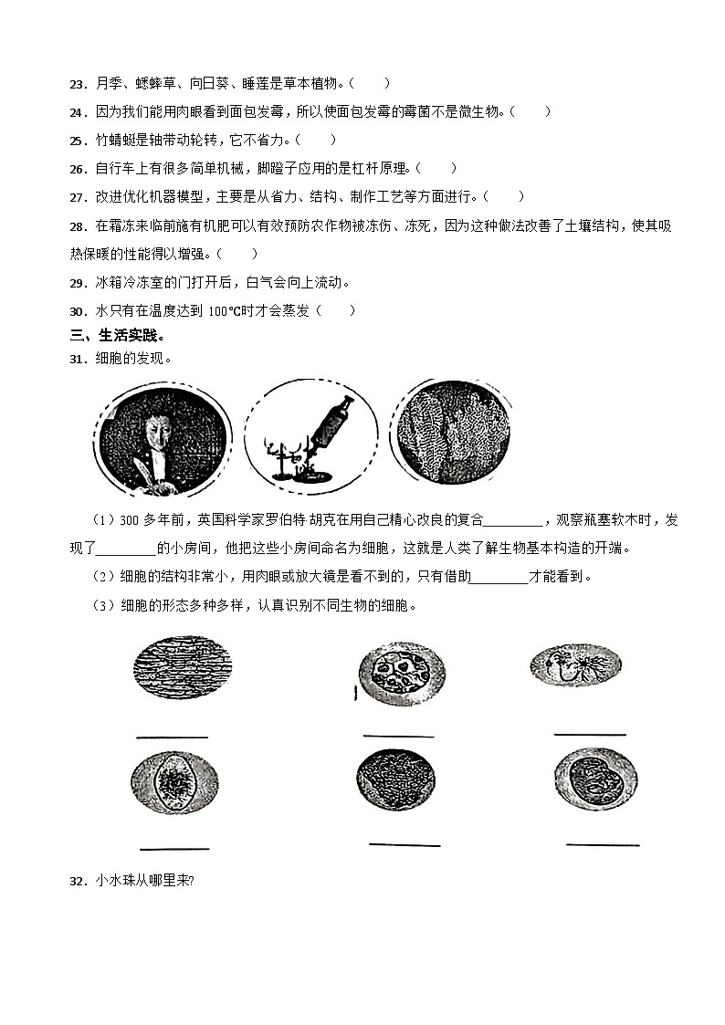 河北省承德市隆化县2023-2024学年五年级下学期期末考试科学试题03