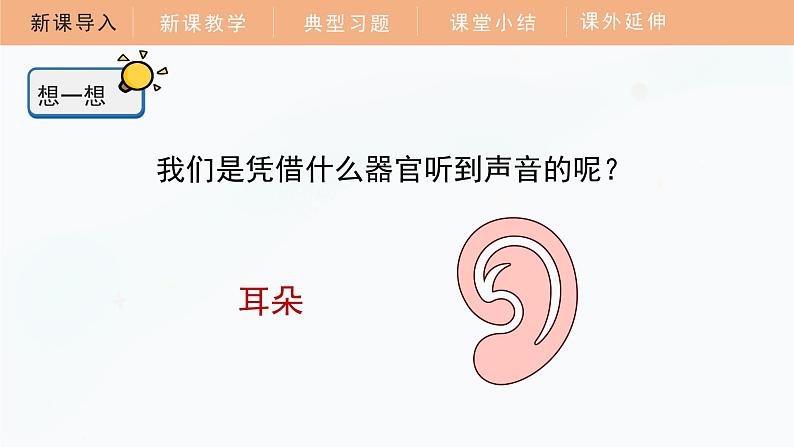 教科版科学四年级上册 1.4 我们是怎样听到声音的 教学课件第5页