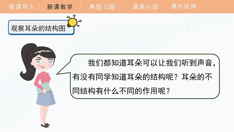 教科版科学四年级上册 1.4 我们是怎样听到声音的 教学课件第8页