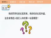 教科版科学四年级上册 2.7 食物在口腔里的变化 教学课件