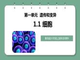 青岛版科学六年级上册 第1课 细胞（教学课件+同步教案）