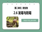 青岛版科学六年级上册 第6课 发霉与防霉（教学课件+同步教案）