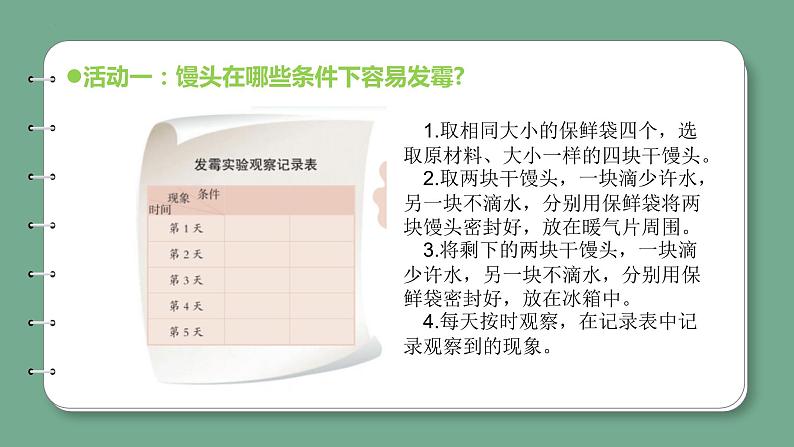 青岛版科学六年级上册 第6课 发霉与防霉（教学课件+同步教案）08