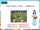 【核心素养新课标】2.6《植物的后代与亲代》课件+教案+素材