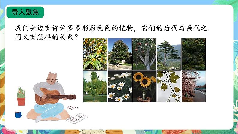 【核心素养新课标】2.6《植物的后代与亲代》课件+教案+素材07