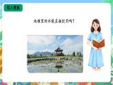 【核心素养新课标】3.8《水中的微小生物》课件+教案+素材