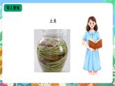 【核心素养新课标】3.10《多种多样的微生物》课件+教案+素材