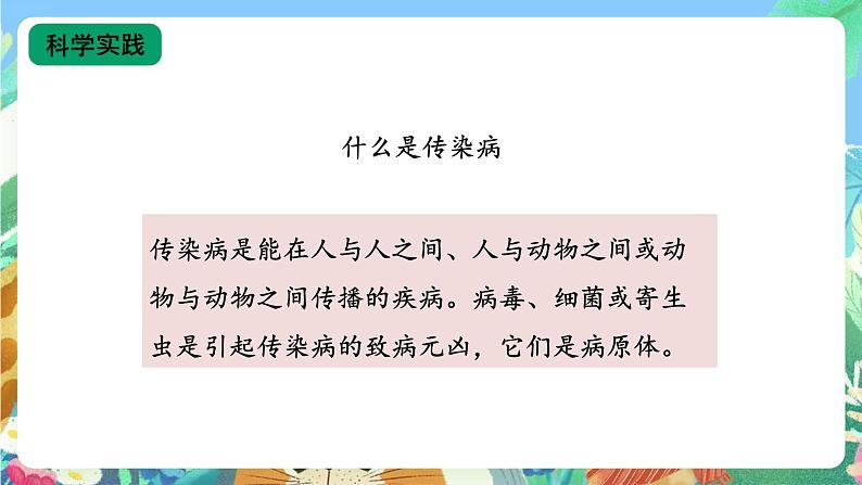 【核心素养新课标】3.11《预防传染病》 课件第8页