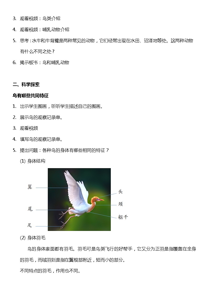 【核心素养新课标】1.1《鸟和哺乳动物》课件+教案+素材02