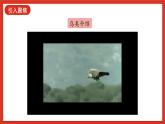 【核心素养新课标】1.1《鸟和哺乳动物》课件+教案+素材