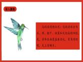 【核心素养新课标】1.2 《动物的分类》课件+教案+素材