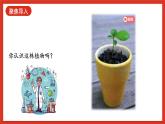 【核心素养新课标】2.4《用种子繁殖》课件+教案+素材