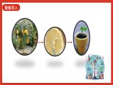 【核心素养新课标】2.4《用种子繁殖》课件+教案+素材