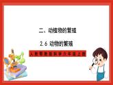 【核心素养新课标】2.6《动物的繁殖》课件+教案+素材
