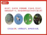 【核心素养新课标】2.6《动物的繁殖》课件+教案+素材