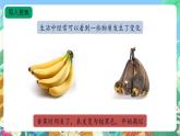 【核心素养新课标】1.1《《生锈与防锈》课件+教案+素材