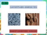 【核心素养新课标】1.1《《生锈与防锈》课件+教案+素材