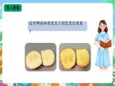 【核心素养新课标】1.3《颜色变化》课件+教案+素材